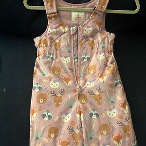 The Children's Place Snow Suit ( Jacket and Jumper)